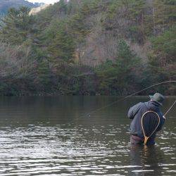 フィッシングレイクたかみや 釣果