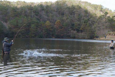 フィッシングレイクたかみや 釣果