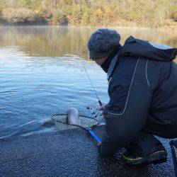 フィッシングレイクたかみや 釣果