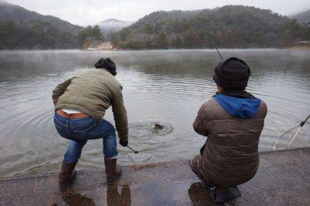 フィッシングレイクたかみや 釣果