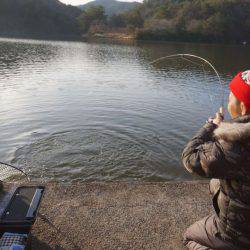 フィッシングレイクたかみや 釣果
