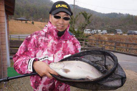 フィッシングレイクたかみや 釣果