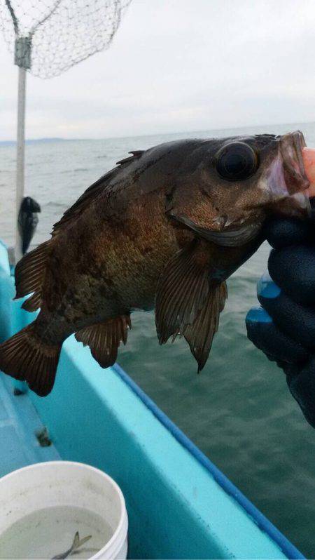 宝昌丸 釣果