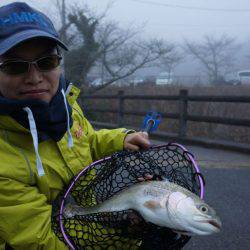 フィッシングレイクたかみや 釣果