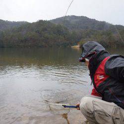 フィッシングレイクたかみや 釣果