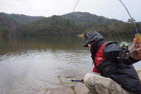 フィッシングレイクたかみや 釣果