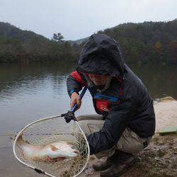フィッシングレイクたかみや 釣果