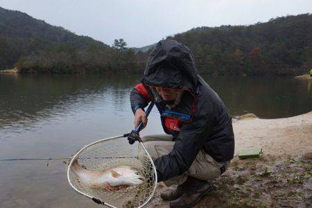 フィッシングレイクたかみや 釣果