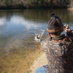 フィッシングレイクたかみや 釣果
