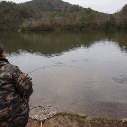 フィッシングレイクたかみや 釣果