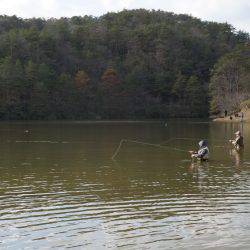 フィッシングレイクたかみや 釣果