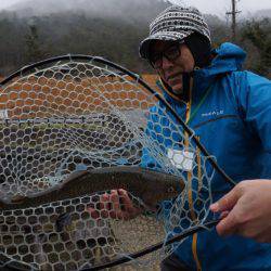 フィッシングレイクたかみや 釣果