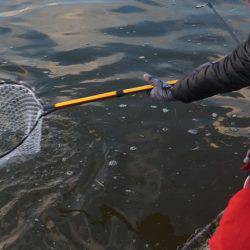 フィッシングレイクたかみや 釣果