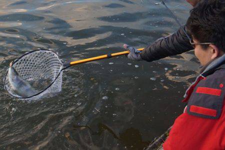 フィッシングレイクたかみや 釣果