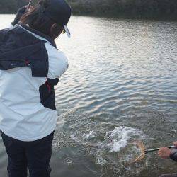 フィッシングレイクたかみや 釣果