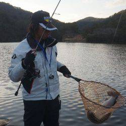 フィッシングレイクたかみや 釣果