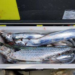 遊漁船 ニライカナイ 釣果