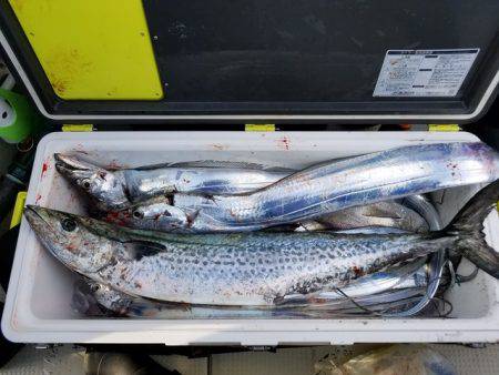 遊漁船 ニライカナイ 釣果