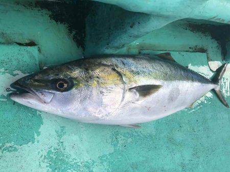 広進丸 釣果
