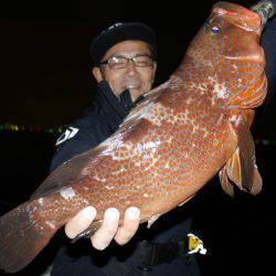 TOPGUN名古屋 釣果