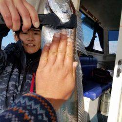 遊漁船 ニライカナイ 釣果