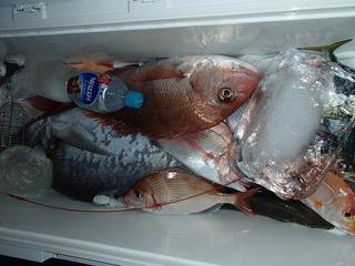 第二むつ漁丸 釣果