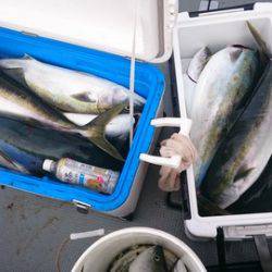 IDATEN(イダテン) 釣果