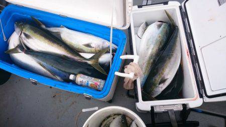 IDATEN(イダテン) 釣果