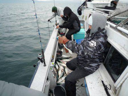 浅間丸 釣果
