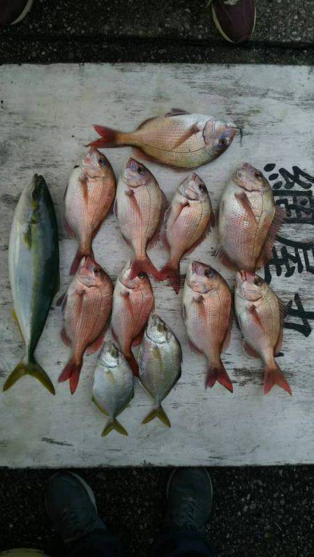 網屋丸 釣果
