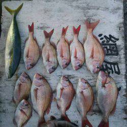 網屋丸 釣果