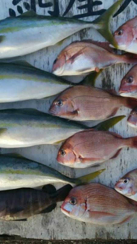 網屋丸 釣果