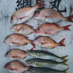 網屋丸 釣果