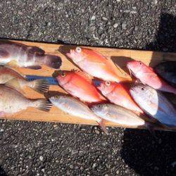 第３浜丸 釣果