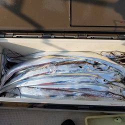 遊漁船 ニライカナイ 釣果