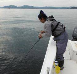 開進丸 釣果