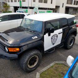 遊漁船 ニライカナイ 釣果