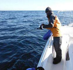 開進丸 釣果