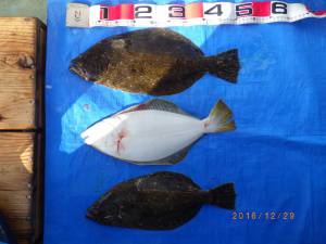 石川丸 釣果