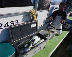 久里浜黒川本家 釣果