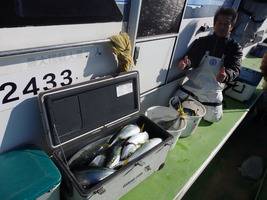 久里浜黒川本家 釣果