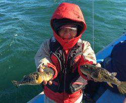 おざき丸 釣果