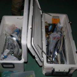 スカイマリン 釣果