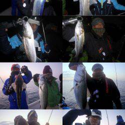 TOPGUN名古屋 釣果