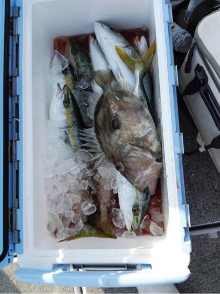 第二大福丸 釣果