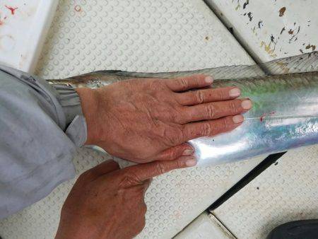 遊漁船　ニライカナイ 釣果