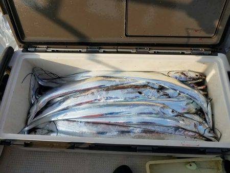 遊漁船　ニライカナイ 釣果