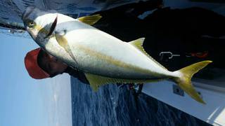 ディープ オーシャン 釣果