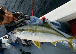 ディープ オーシャン 釣果