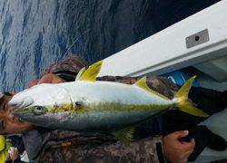 ディープ オーシャン 釣果